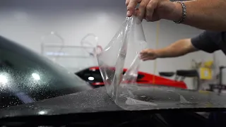 Paint Protection Film on a Tesla Model 3 | Orlando - Longwood Florida | Clear Bra PPF for Tesla