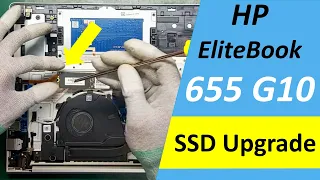 🛠️ HP EliteBook 655 G10 Laptop SSD Upgrade and Disassembly Options. 13th Generation Laptop 2023