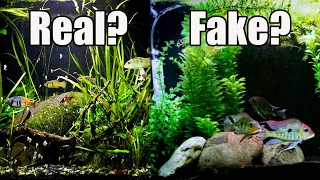 8 Reasons Why You Should Add Live Plants to Your Fish Tank and 8 Reasons You Shouldn't!