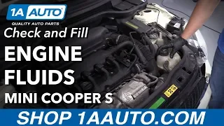 How to Check and Fill Fluids 07-13 Mini Cooper S