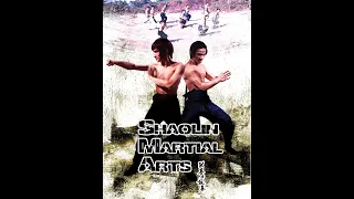 As Artes Marciais de Shaolin (1974) | RMZ | BR-Rip 1080p | Dublado