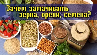 Зачем замачивать бобовые,орехи,семена,крупы?Фитиновая кислота чем она вредна?Польза бобовых.