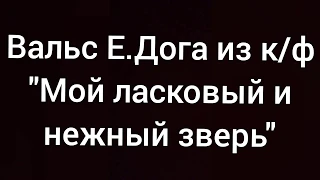 Е.Дога - Вальс из к/ф "Мой ласковый и нежный зверь" в исполнении Триандофилиди Елизаветы