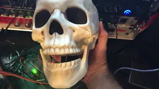 Jawduino Step by Step Tutorial. Talking Skull.