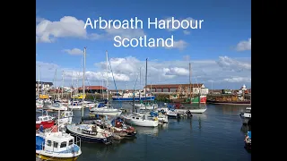 Discover Arbroath Harbour