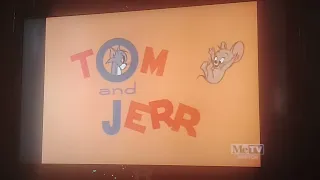 The Cat Above And The Mouse Below (1964) Opening On Toon In With Me On MeTV