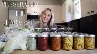 Preserving the Harvest & Filling the Homestead Pantry | Food Preservation in our Homestead Kitchen