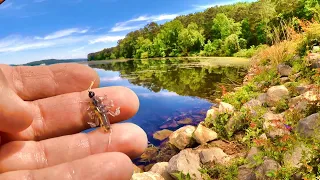 A Simple Way To Catch Loads Of Bluegill From The Bank