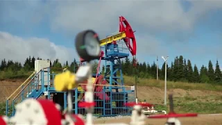 ОПЕРАТОР ДОБЫЧИ НЕФТИ И ГАЗА