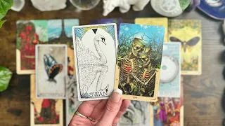 So much transformation! 💀💕🦋🥰🦢General LOVE Reading🦢🥰🦋💕💀