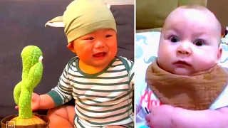 8 May 2023 |Cute Babies Playing with Dancing Cactus (Hilarious) Cute Baby Funny Videos