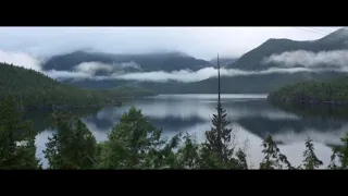 Bigfoot Filmed Jasper Canada