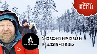 Metsänparta Volokinpolun maisemissa