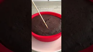 The best microwave chocolate cake!