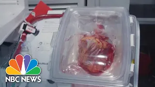 How 'heart in a box' technology could help heart transplant recipients 