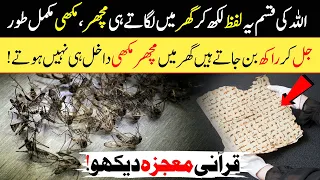 Yeh Lafz Likh Kar Laga Lo, Ghar Mein Machhar Makhi Khatam Ho Jayenge | Mosquito Killer| IT