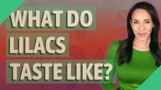 What do lilacs taste like?