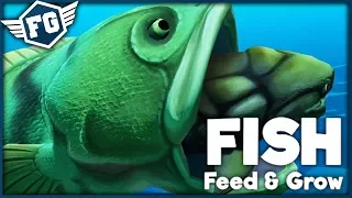 Feed And Grow: Fish - Přežije Nejsilnější