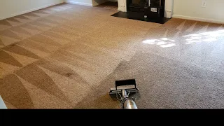 Move out carpet cleaning with satisfying results| Extraction Only Asmr
