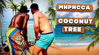 Мирисса / Цены на пляже / Mirissa Beach / Coconut Tree / Шри Ланка 2022