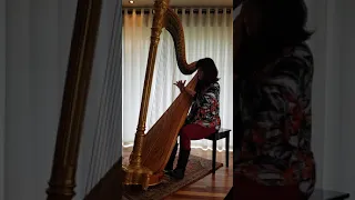 Bach : Siciliano from Sonata BWV 1031 (transcribed for harp)