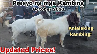 ANLALAKI NG KAMBING NGAYON!  | Update sa Presyo ng Kambing sa Padre Garcia Batangas