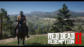 Red Dead Redemption 2 Прохождение Часть 2