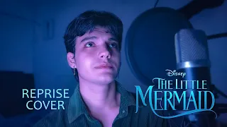 Part of your world (Reprise) - male version ( cover mateo )