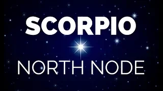 NORTH NODE SCORPIO (SOUTH NODE TAURUS) | Karma/Past Lives | Jan Spiller | Hannah's Elsewhere