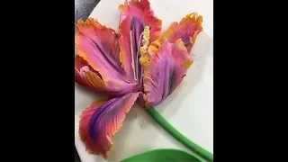 How To Create a Gumpaste Parrot Tulip