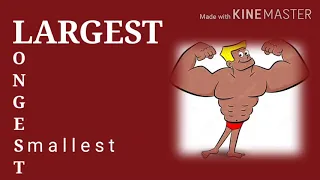 LARGEST LONGEST SMALLEST OF  HUMAN BODY