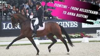 Fiontini From Andreas Helgstrand To Anna Buffini - Grand Prix Dressage Horse On The Move