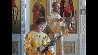 пономари Свято Николаевского прихода