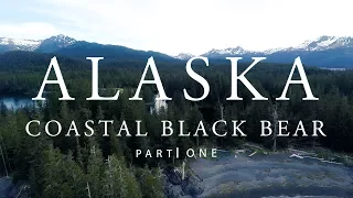 Alaska Coastal Black Bear - Part One