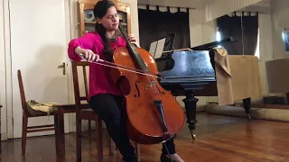 Dvorak Cello Concerto. 1st Movement