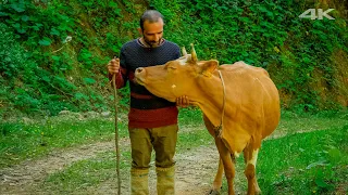 Life at the Edge of Nature - Çepni Family | Documentary ▫️4K▫️