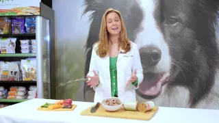 How to Improve Your Pet's Skin and Coat Health