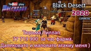 Тюрьма Пиллап. Black Desert Фарм серебра 2020. Лучница. Средненький такой...