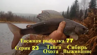 Крупный Хариус рыба Серия 23 Таежная Рыбалка 77  Выживание Охота Поход Лес Сибирь Медведь, Тайга