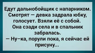 Дальнобойщик с Напарником Подобрали Девицу! Сборник Свежих Анекдотов! Юмор!