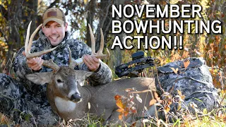 BIG Iowa Buck In Rut!! | November Bowhunting Action