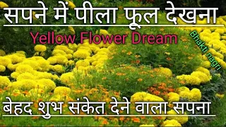 सपने में पीला फूल देखना / sapne mein pila phool dekhna. Yellow flower dream meaning.