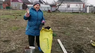 Влог :Купили Дом на Юге /  Смех и грех/ Клубника в Феврале /Наши Покупки/Рога Буйвола и Дон Джоан