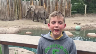 Me at the zoo                                                                          (Remake)