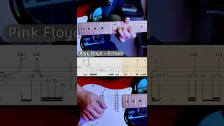 Pink Floyd - Echoes (Guitar lesson with TAB)