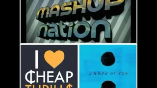 Shape Of You (Ed Sheeran) and Cheap Thrills (Sia ft.Sean Paul)