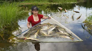 Harvesting A Lot Of Fish Goes To Market Sell, Take Care of The Garden | Phuong Daily Harvesting