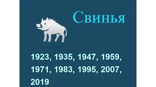 Год свиньи, гороскоп составленный психологом Натальей Кучеренко.