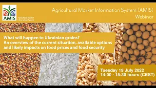 AMIS webinar: What will happen to Ukrainian grains?