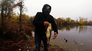 Throwing the Huddleston Bluegill